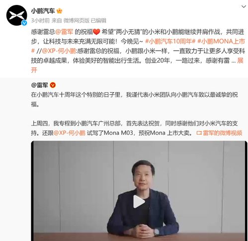 大定破万后雷军失眠了