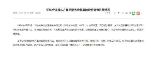 东方集团涉嫌重大财务造假