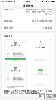 汽车违章多少天显示通知