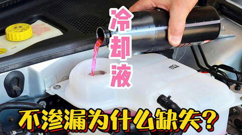 汽车冷却液加多少合适