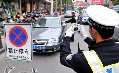 汽车违法停放罚多少分