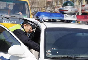 汽车违法停放罚多少分