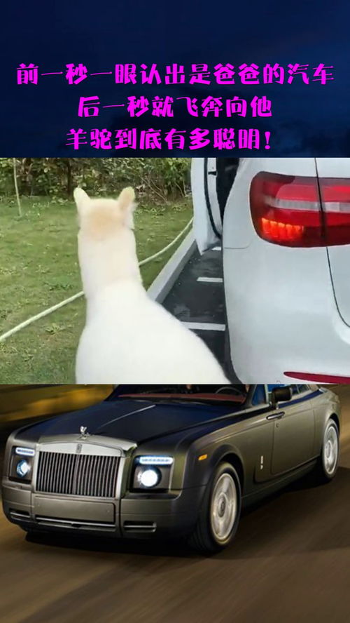 汽车一秒多少米