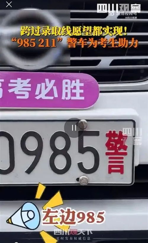 南阳县城汽车牌照多少