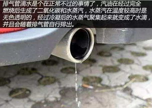 修汽车排气管多少钱