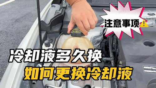 汽车冷却液多少升
