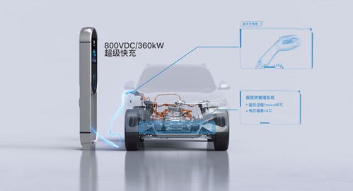 汽车总多少v的电压