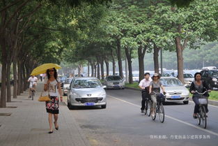 城市街道小汽车速度多少