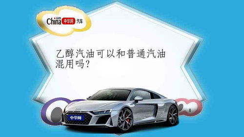 汽车可以加多少号乙醇