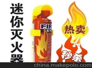 汽车的灭火器多少钱