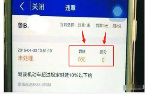 汽车违章扣多少钱