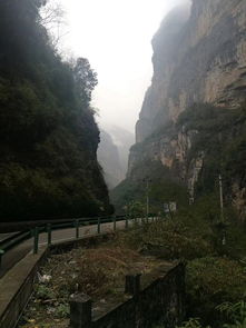 奉节到利川汽车多少趟