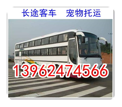周口到商水汽车多少钱