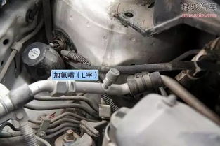 加氟多少汽车