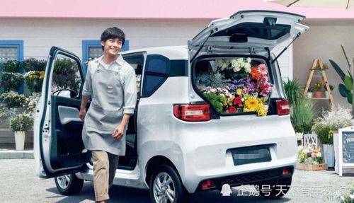 阳光汽车多少公里报废