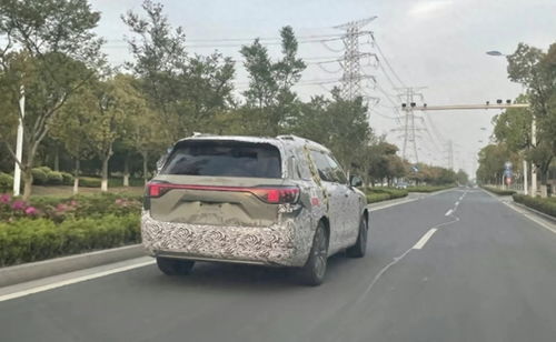 车主变野生销冠!63小时卖753台问界