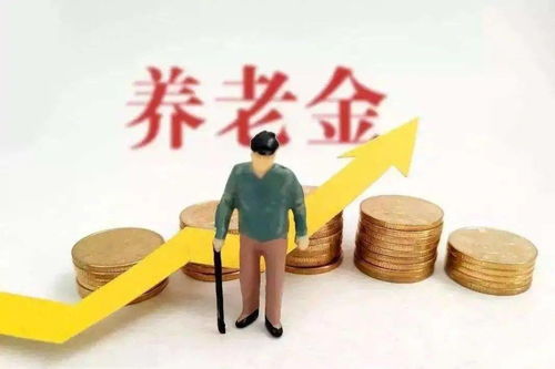 人社部:适当提高退休人员基本养老金