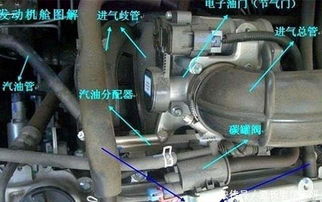 汽车油箱有多少汽油正常