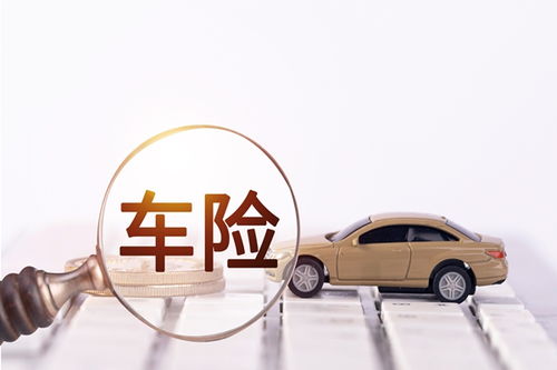 汽车二保要多少钱