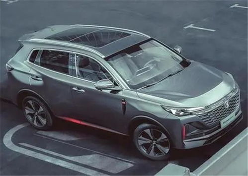 今天多少汽车 今天多少汽车