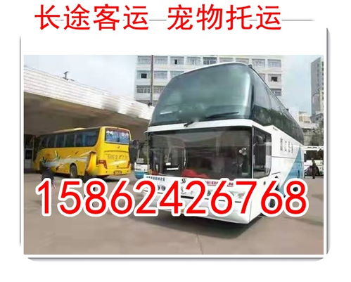 汉中到略阳汽车需要多少