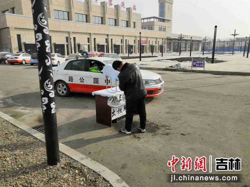 吉林到洮南汽车价格多少