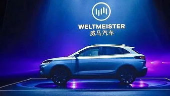 双宝宏图汽车多少钱