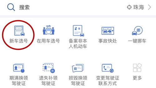 汽车选号需要多少天内