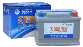 汽车天鹅电瓶多少钱