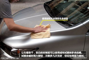汽车划痕打蜡多少钱