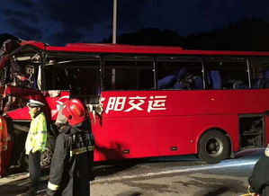汽车时速多少能撞伤人