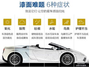 汽车有多少面