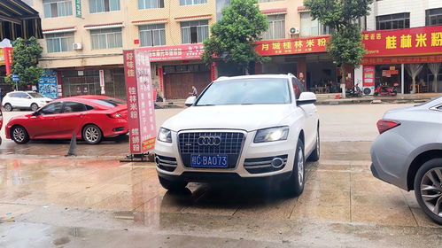 汽车换灯壳多少钱