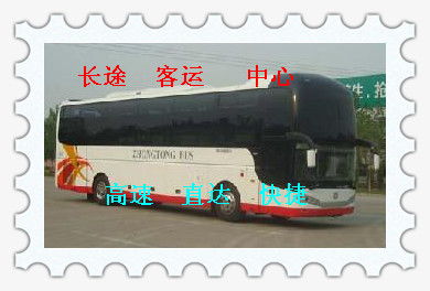 泰顺到上海汽车多少钱
