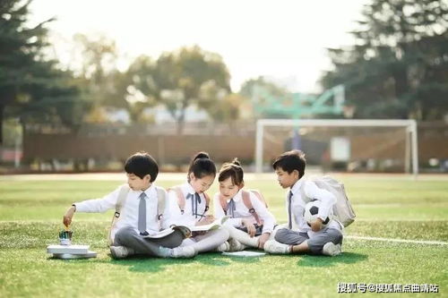 呼和浩特:三孩可在全市自由择校