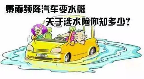 汽车一共有多少险