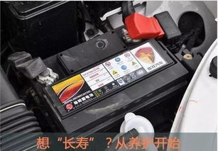 汽车怎样看有多少电瓶