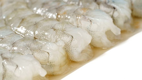 保水虾仁磷酸盐超标 包冰增重 保水虾仁磷酸盐超标 包冰增重