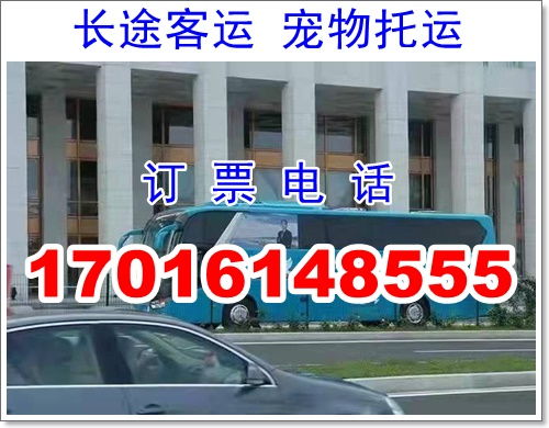 汉中到神木汽车多少钱