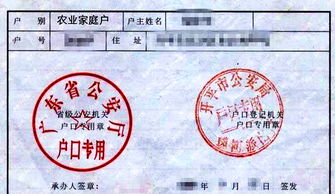农村汽车购置税多少