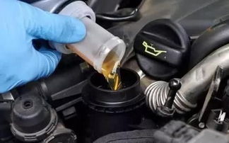汽车机油多少才合格车