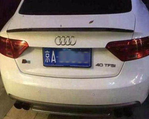汽车牌照补办多少钱