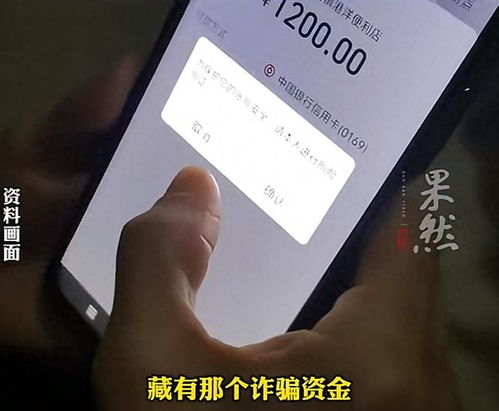 11岁男孩为救父母向骗子转账77次