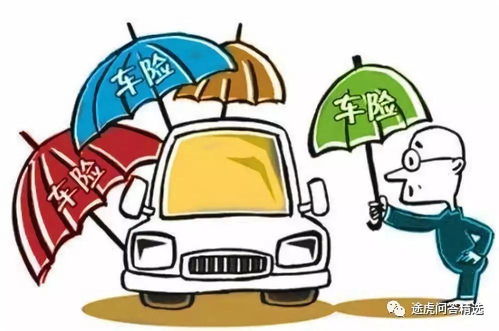 汽车违章多少钱买保险
