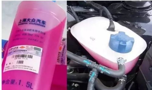 爱丽舍汽车防冻液买多少