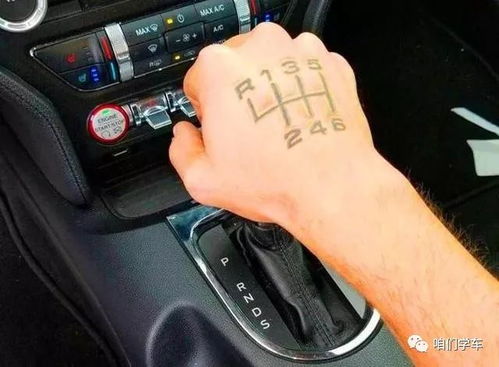 小汽车半小时耗油多少