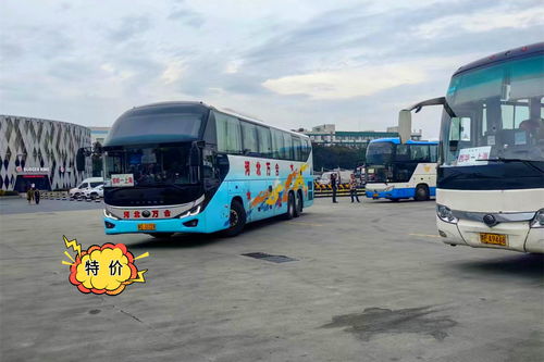 福鼎到泰顺汽车多少钱