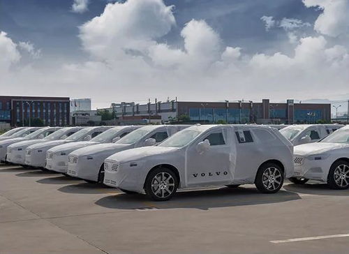 全球有多少量汽车
