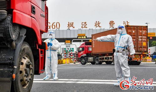 上海到道口汽车费多少