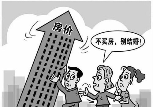 学生买房给教授养老 房产被霸占